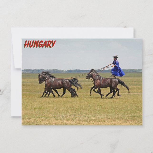 Hungary horseman and horses Card (Front)