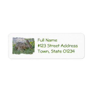 Hungry Bunny Mailing Labels