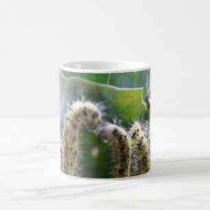 Hungry Cabbage White Caterpillars Bug Mug