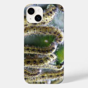Hungry Cabbage White Caterpillars Case-Mate iPhone 14 Case
