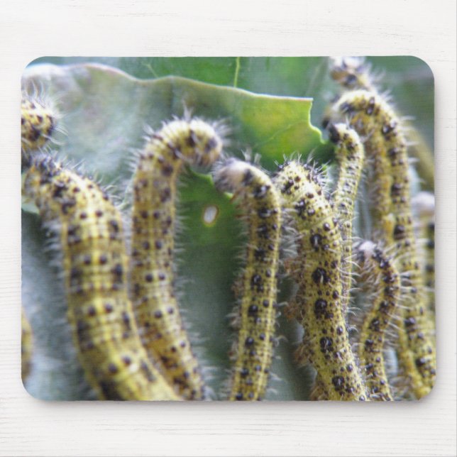 Hungry Cabbage White Caterpillars Mousepad (Front)