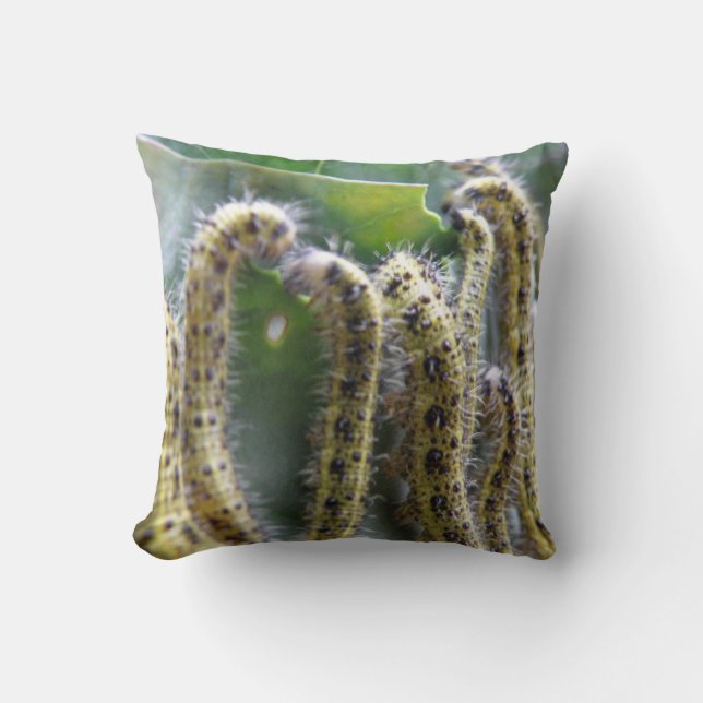 Hungry Cabbage White Caterpillars Pillow (Front)