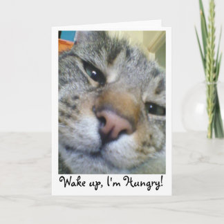 Hungry Cat Funny Greeting/Birthday Card
