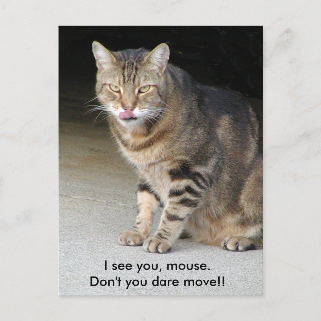 Hungry Cat Post Card (Front)