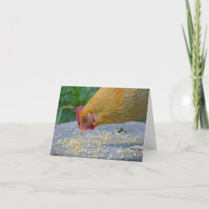 Hungry Chicken Notecard