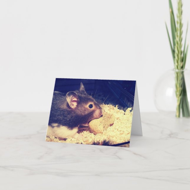 Hungry Hamster Card (Front)