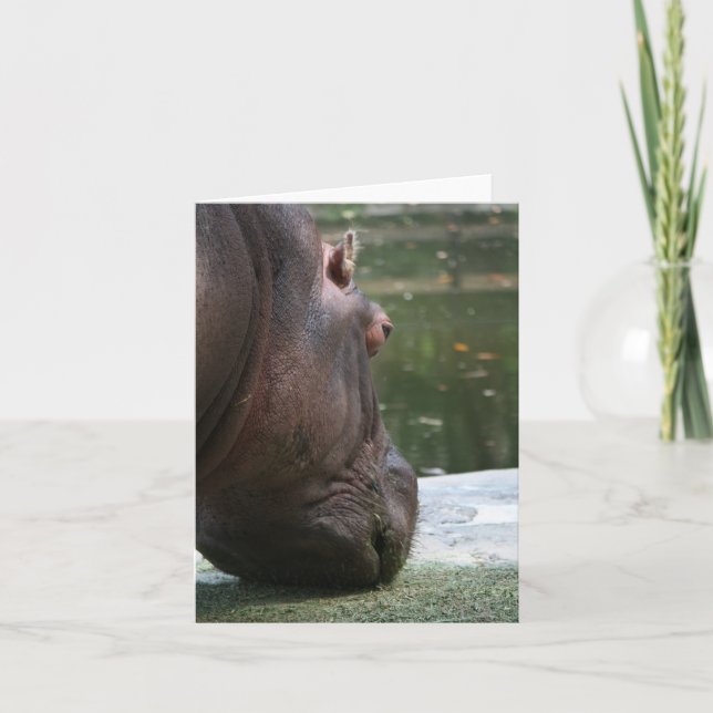 Hungry Hippo Notecard (Front)