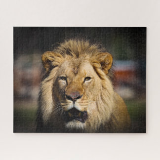 Hungry Lion Puzzle