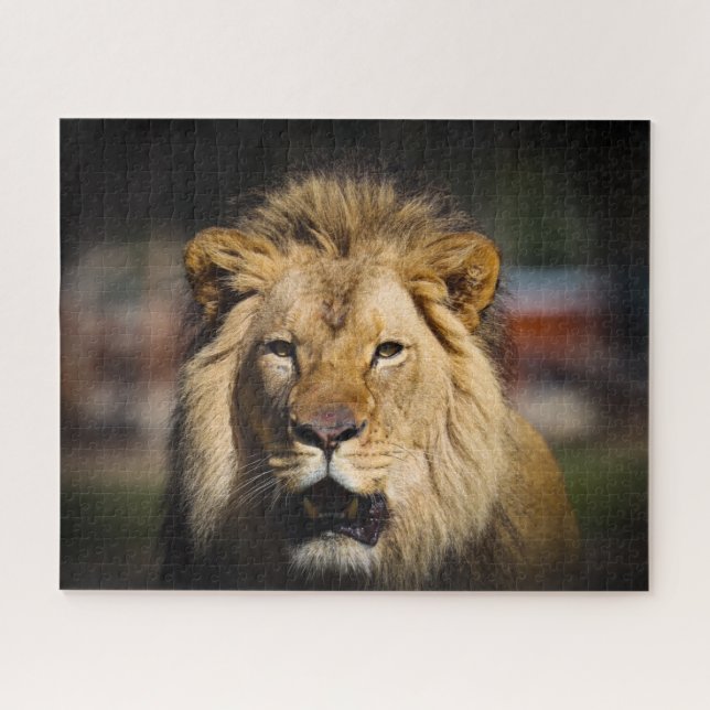 Hungry Lion Puzzle (Horizontal)