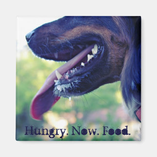 Hungry Magnet for Fridge