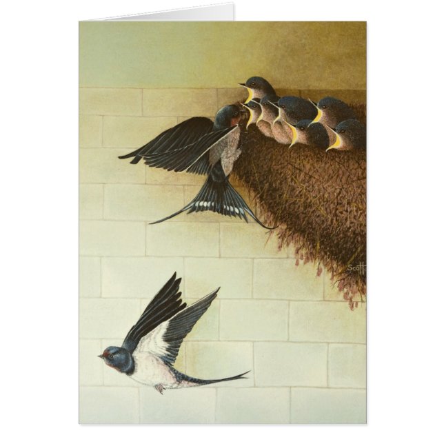 Hungry Mouths 2011 (Front)