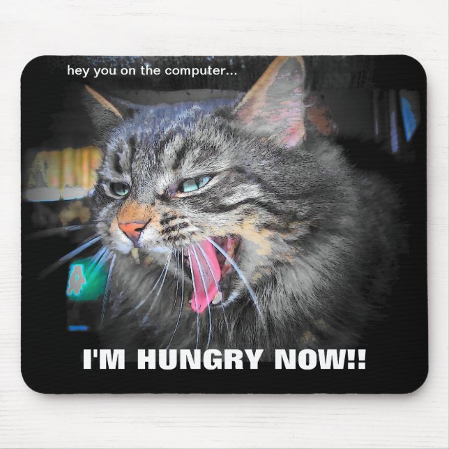 Hungry now! Funny Cat Meme Mouse Pad (Front)