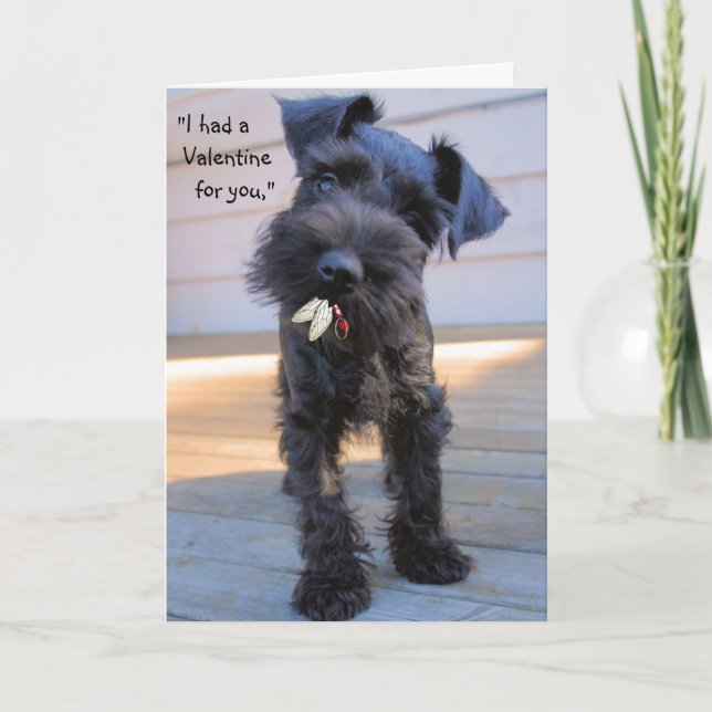 Hungry Puppy Valentine's Day Greeting  Card (Front)
