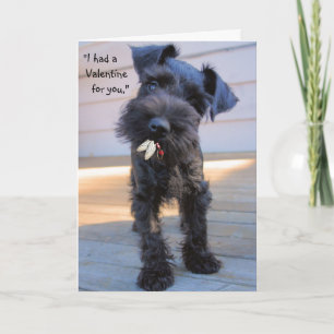 Hungry Puppy Valentine's Day Greeting  Card