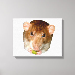 Hungry Rat Canvas Print