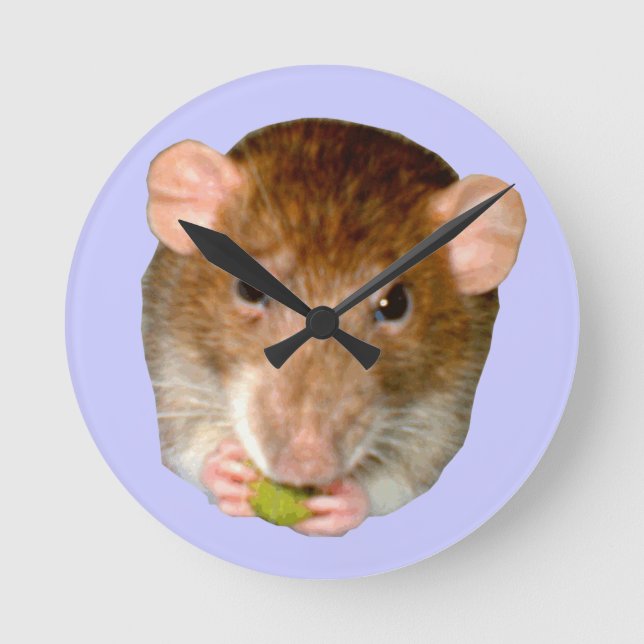 Hungry Rat Wall Clock (Front)