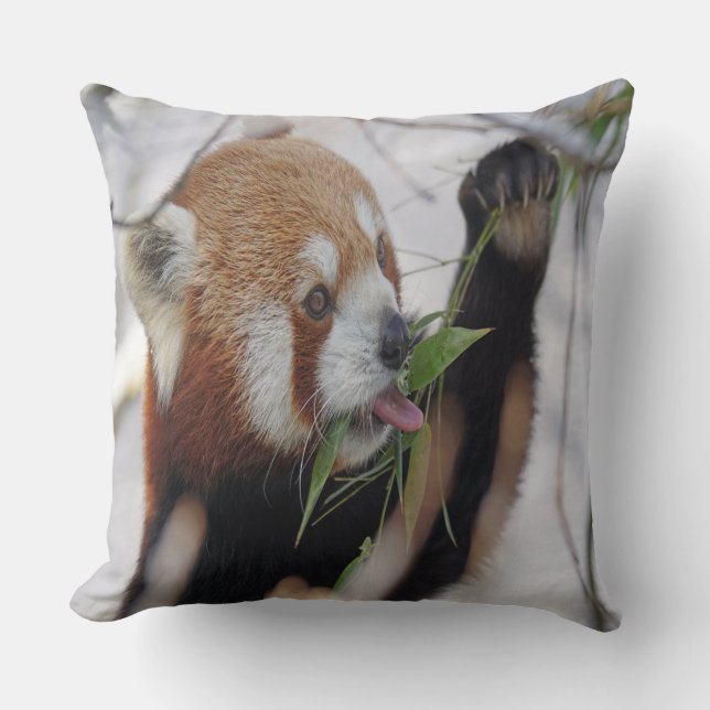Hungry Red Panda Throw Pillow (Front)