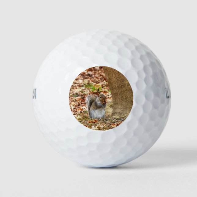 Hungry Squirrel Golf Balls (Front)