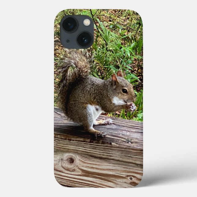 Hungry Squirrel iPhone Cases (Back)