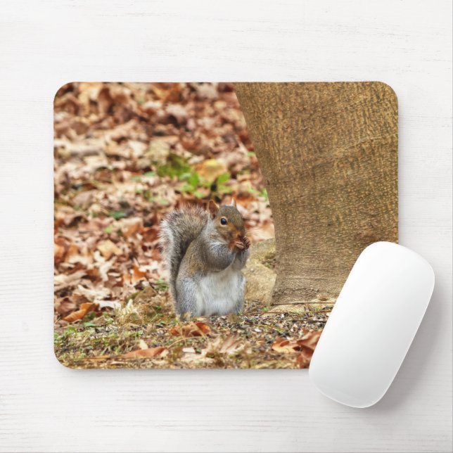 Hungry Squirrel Mouse Pad (With Mouse)