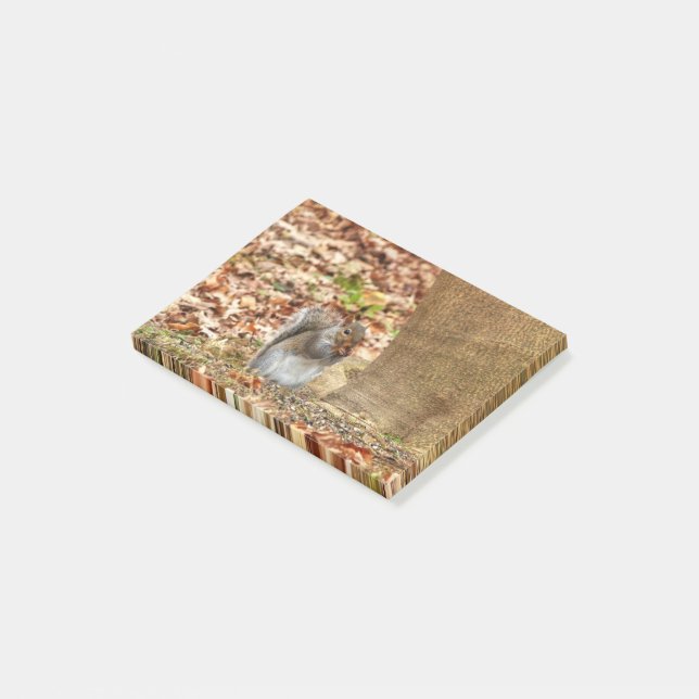 Hungry Squirrel Post-it Notes (Angled)