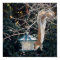 Hungry squirrel stealing food from the bird feeder