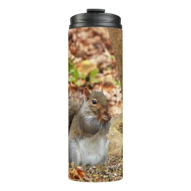 Hungry Squirrel Thermal Tumbler (Front)