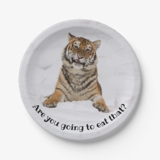 Hungry Tiger Are you going to eat that? Paper Plate