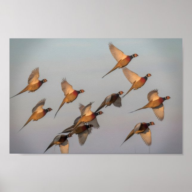 Hunt begin season bounty hunter poster (Front)