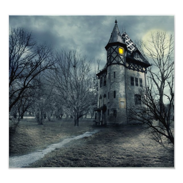 Hunted House Photo Print (Front)