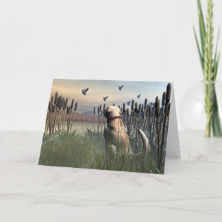 Hunter Card