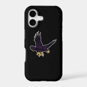 Hunter College Hawk