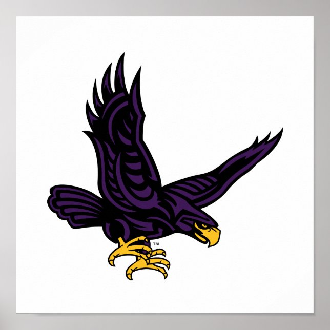 Hunter College Hawk Poster (Front)