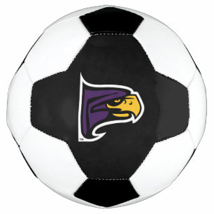 Hunter College Hawk Profile Mascot Soccer Ball