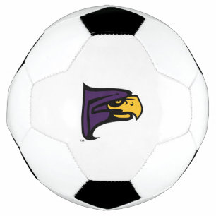 Hunter College Hawk Profile Mascot Soccer Ball
