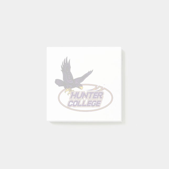 Hunter College Hawks Mascot Post-it Notes (Front)