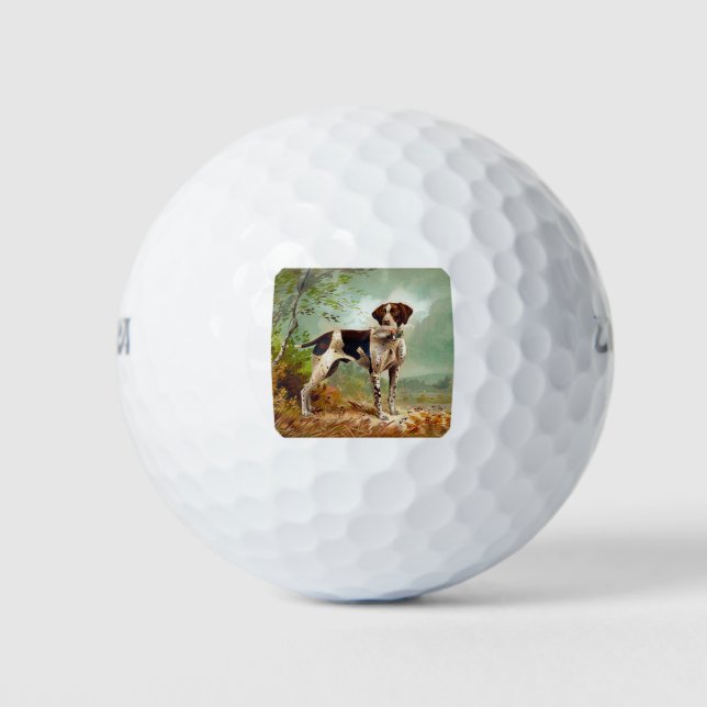 Hunter dog with bird in mouth golf balls (Front)