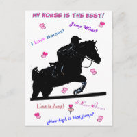 Hunter Jumper Horse