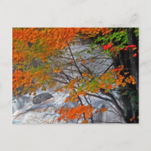 Hunter Mountain  Stream Postcard