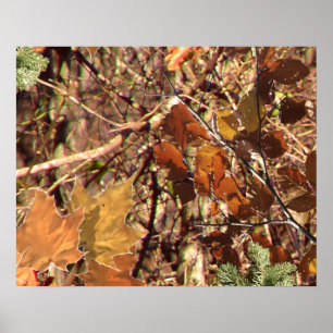 Hunter's Camo Camouflage Painting Customize This! Poster