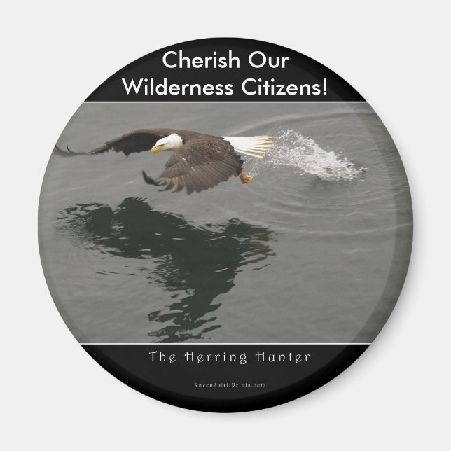 Hunting Bald Eagle Gift Item Magnet (Front)