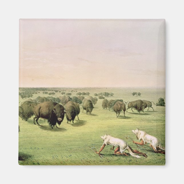 Hunting Buffalo Camouflaged Magnet (Front)