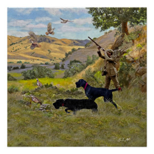 Hunting Chukar partridge  Poster