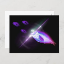 Hunting Dinner X-Ray Fish 6