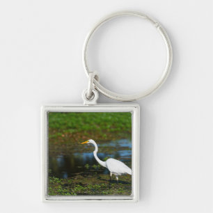 Hunting Egret Keychain