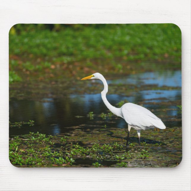 Hunting Egret Mouse Pad (Front)