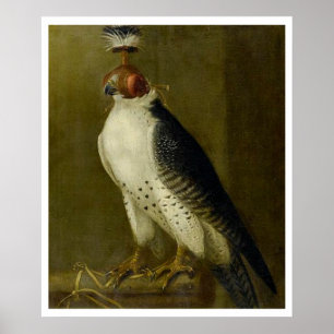 Hunting Falcon - 17th century Poster