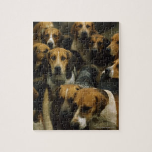 Hunting foxhounds, Galway Blazers, Ireland Jigsaw Puzzle