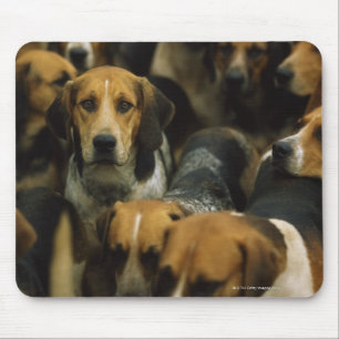 Hunting foxhounds, Galway Blazers, Ireland Mouse Pad