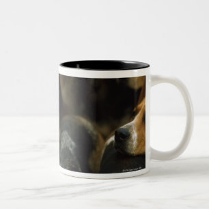 Hunting foxhounds, Galway Blazers, Ireland Two-Tone Coffee Mug